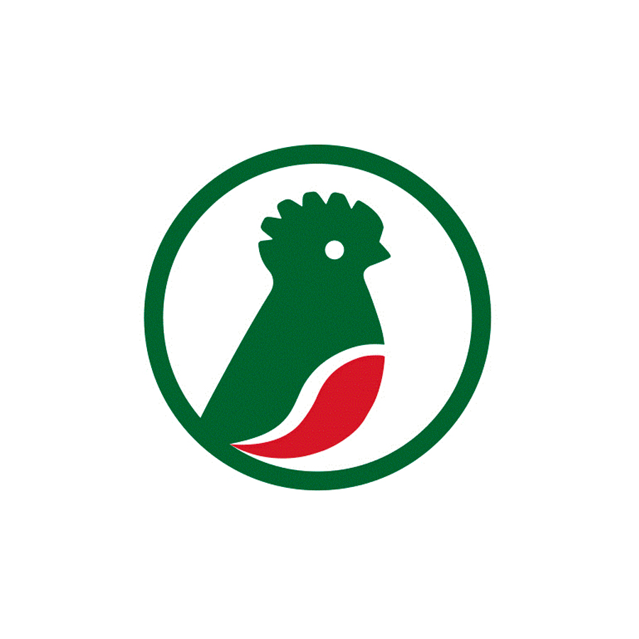 logo-cesmash