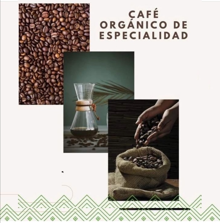 184_cafe org esp
