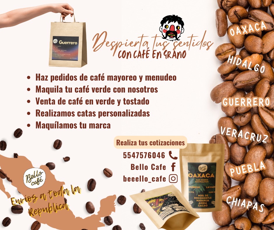 212_ade54498-67a7-4bbd-a238-cec8fb0d3966