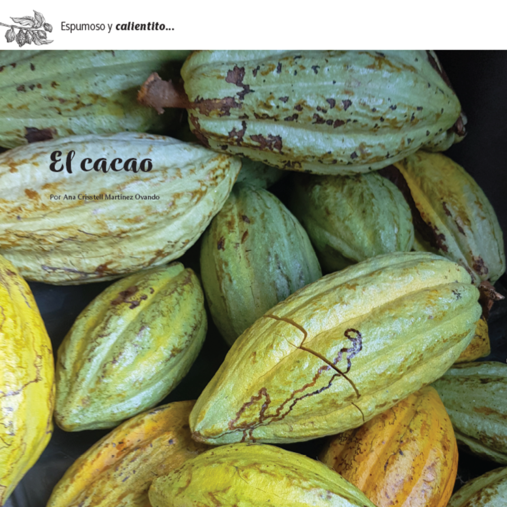 686430cbdfea5ECDMT 05