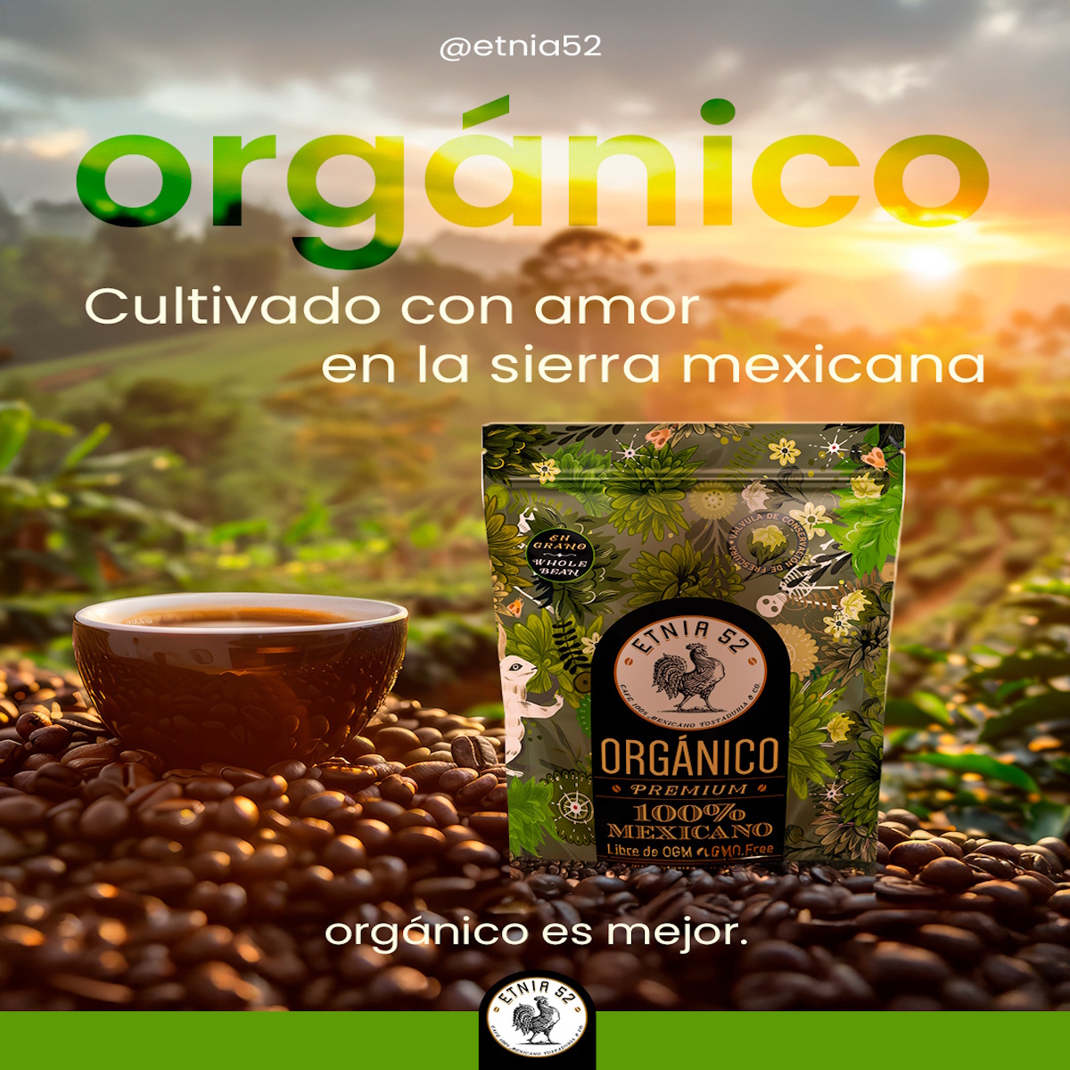 68694c9ac3522organico2