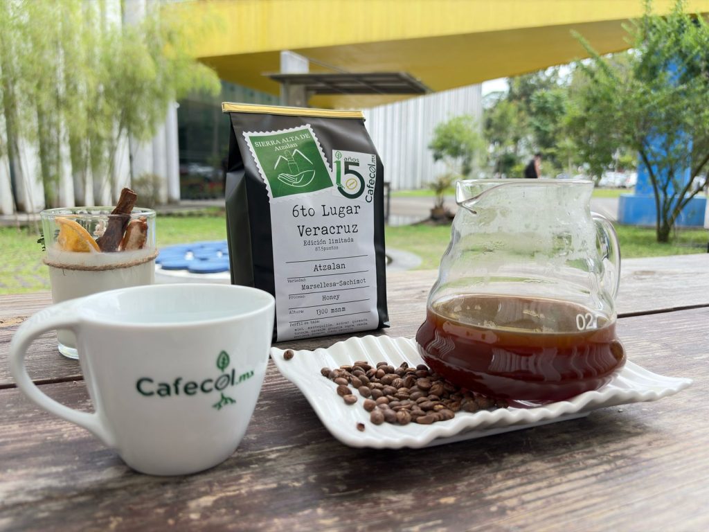 140_WhatsApp Image 2025-08-05 at 10.45.05 AM