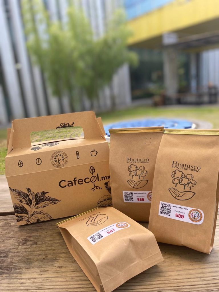 140_WhatsApp Image 2025-08-05 at 11.03.22 AM