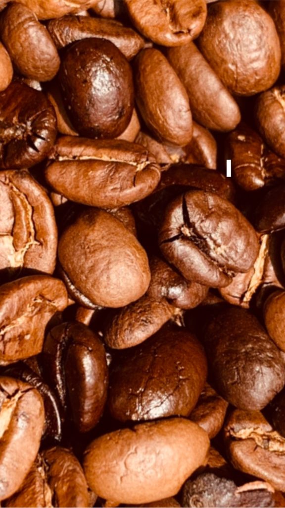 146_1EA80ADE-8AD2-4F57-88B3-BF8821F6C445