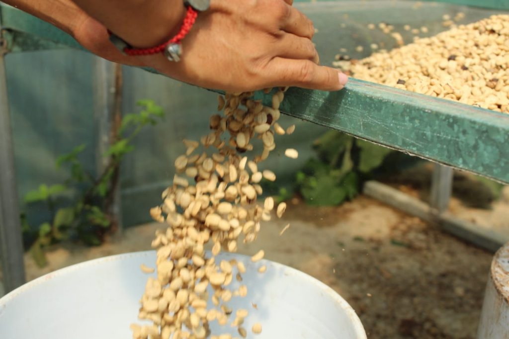 146_756c0a97-f93f-4a07-b034-840b0a01985c