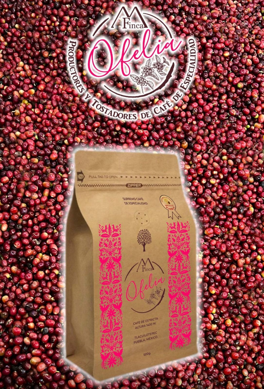 201_Finca Ofelia 4