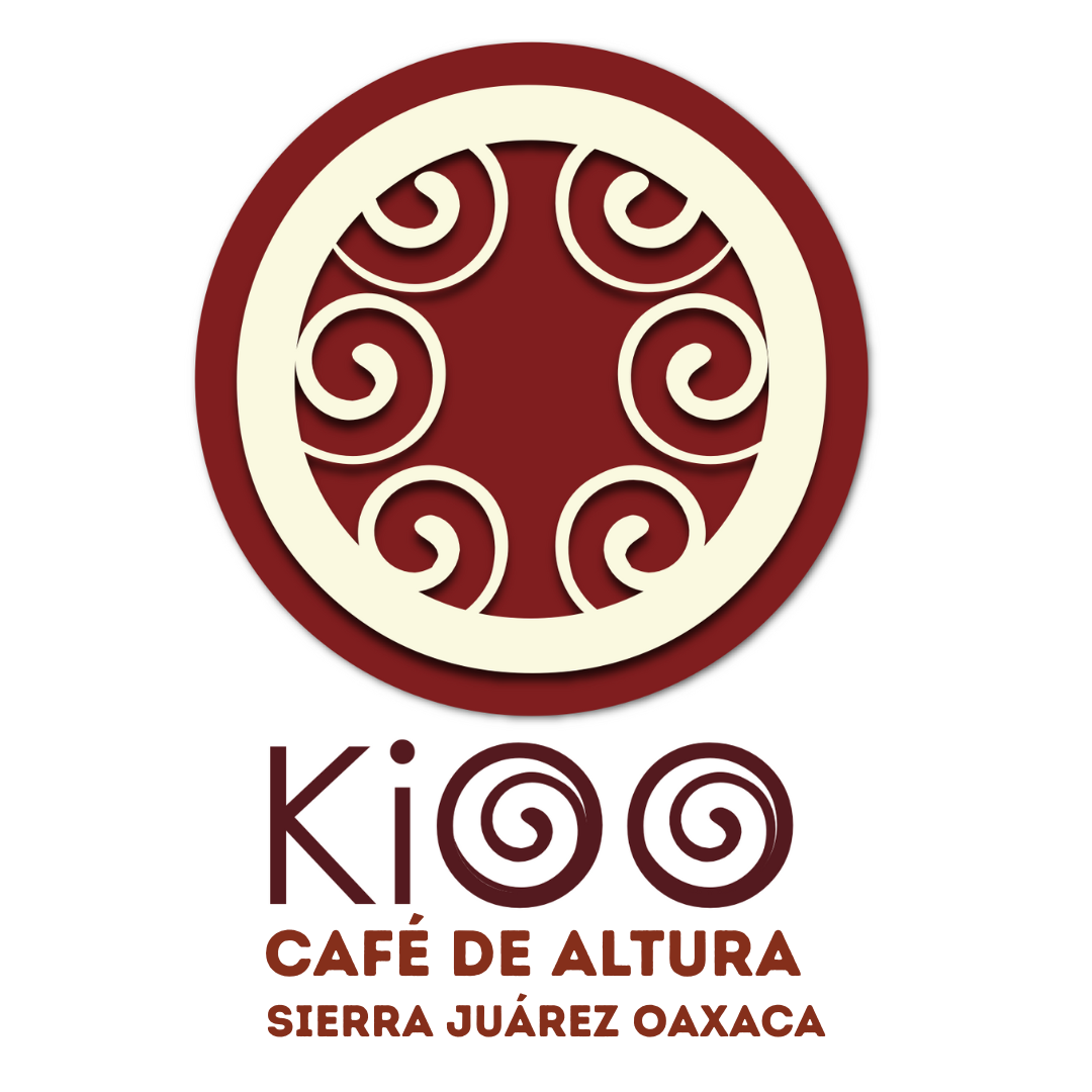 257_CAFÈ DE ALTURA. SIERRA JUÁREZ OAXACA