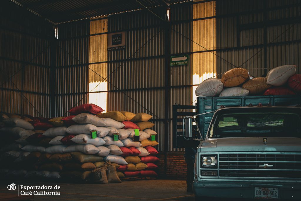 Galeria_CAF___CALIFORNIA_5