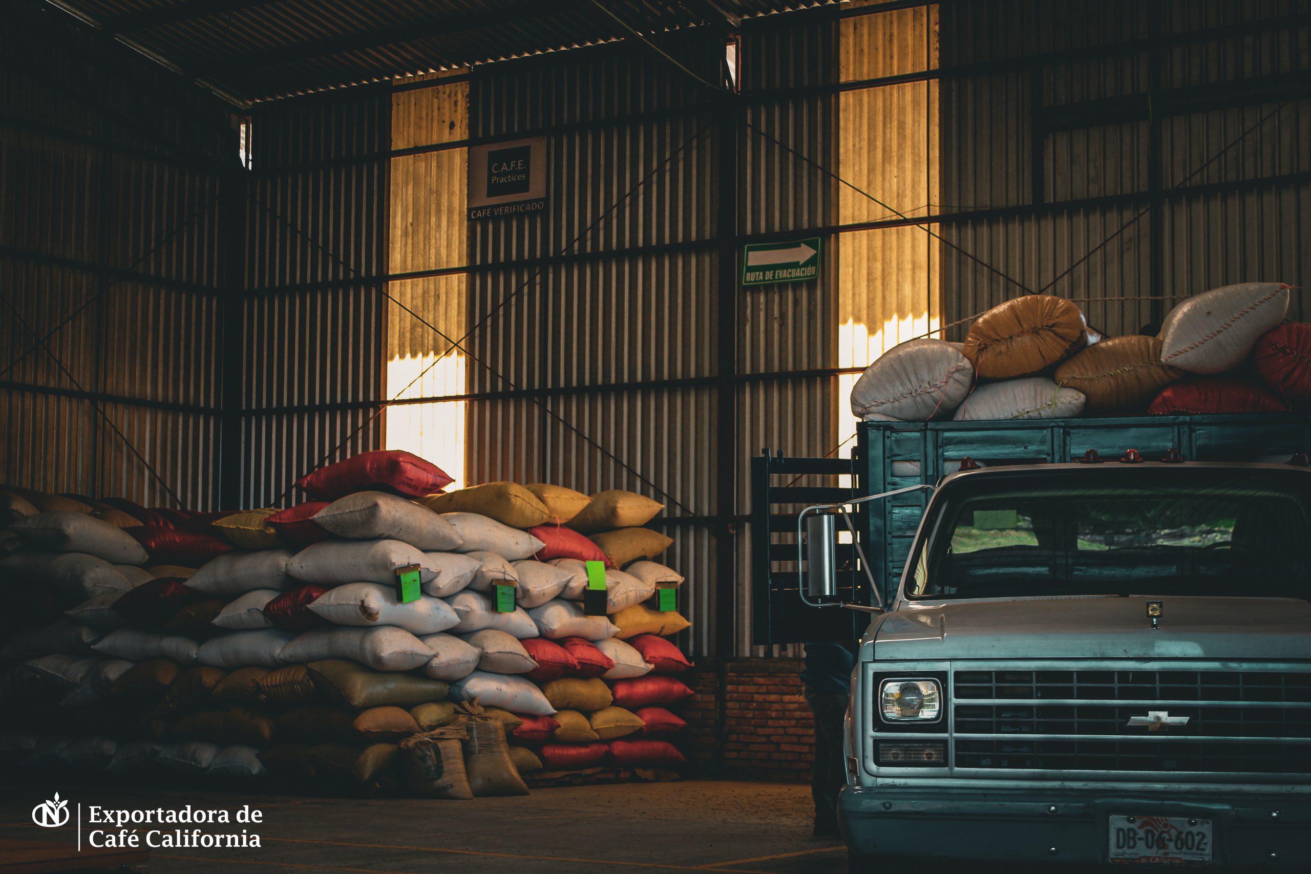 Galeria_CAF___CALIFORNIA_5