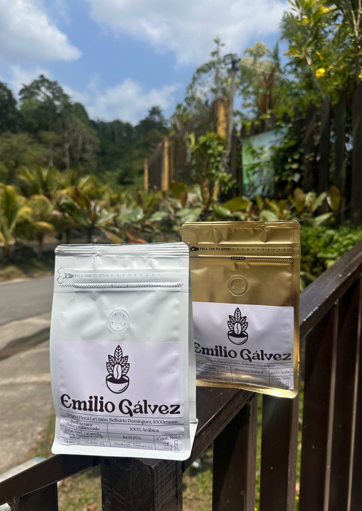 Galeria_EMILIO_GALVEZ_3
