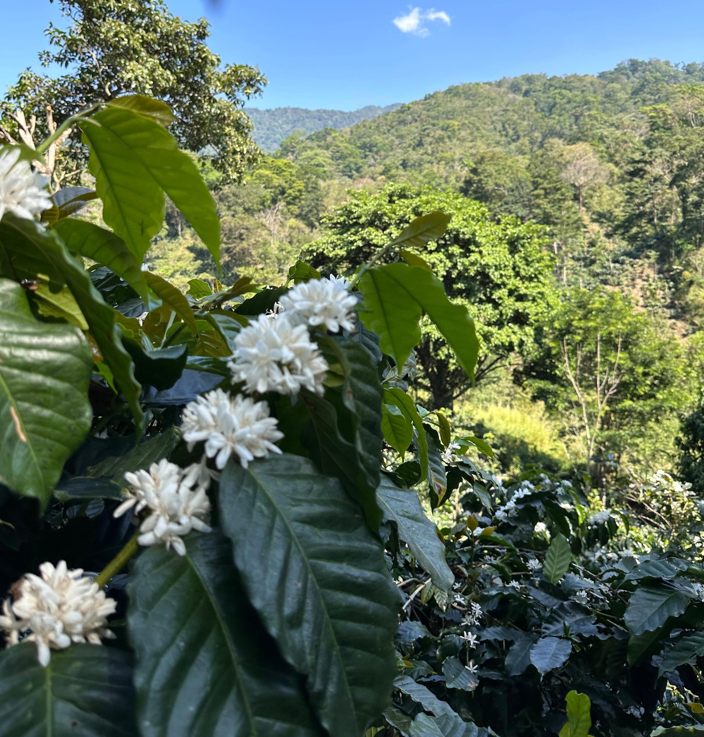 Galeria_EMILIO_GALVEZ_4