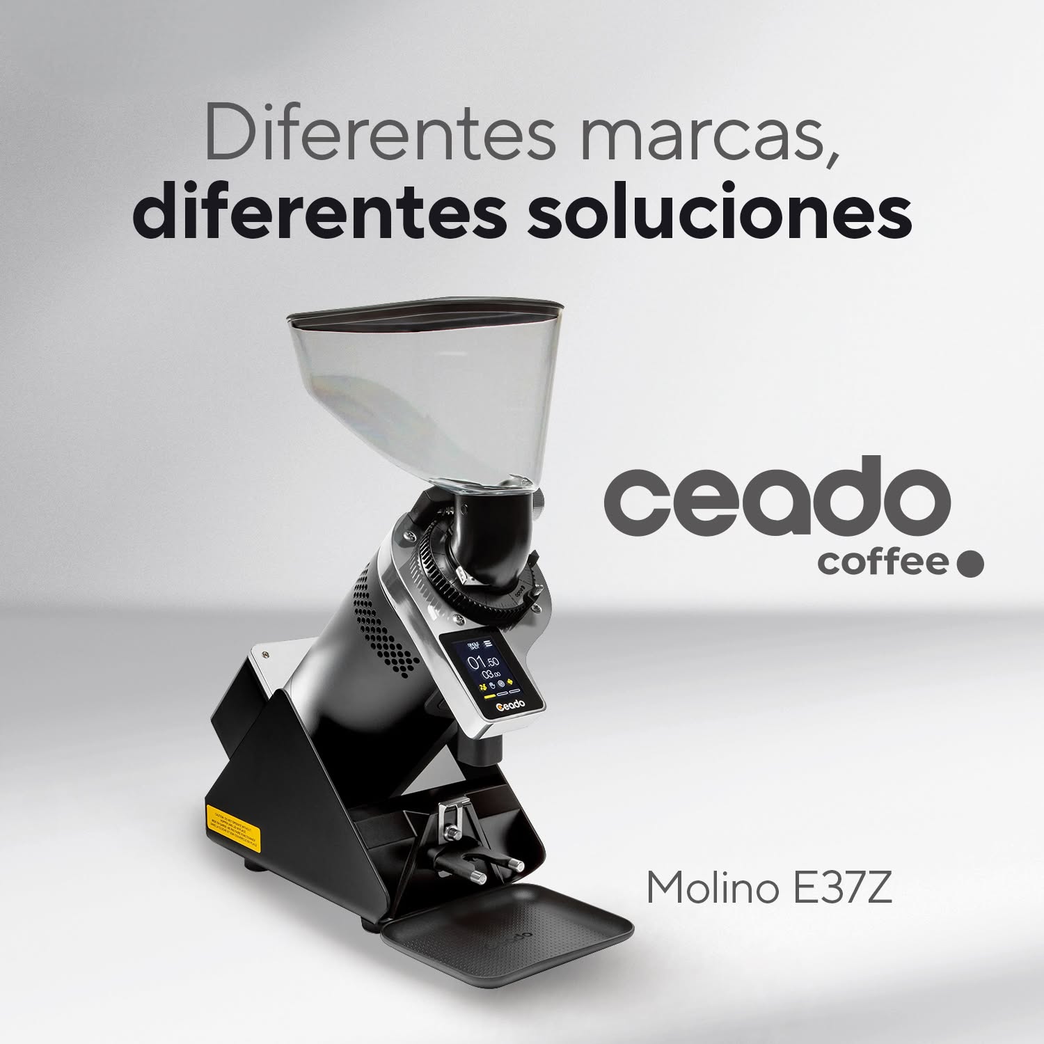 Galeria_ETRUSCA_5