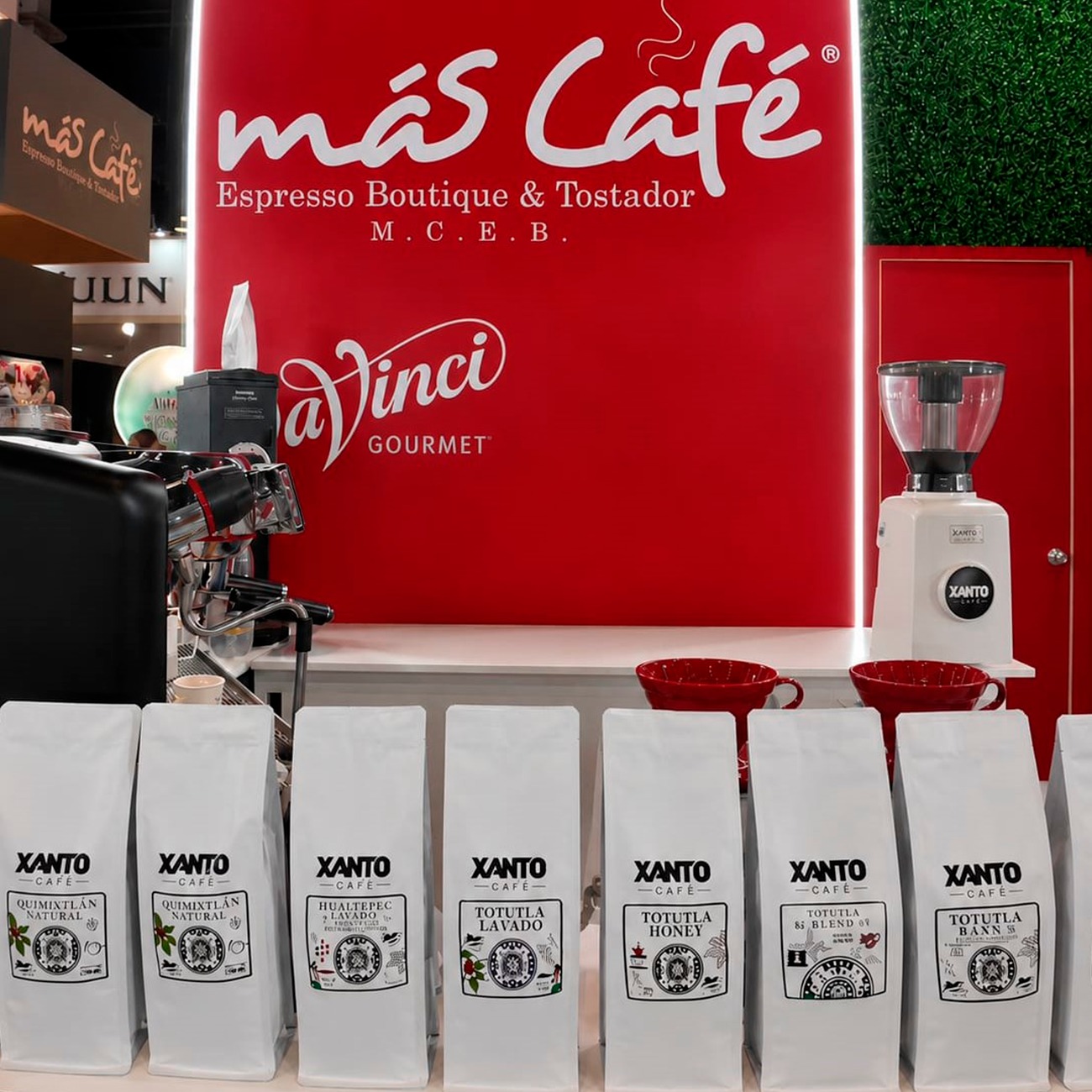 Galeria_M__S_CAF___5