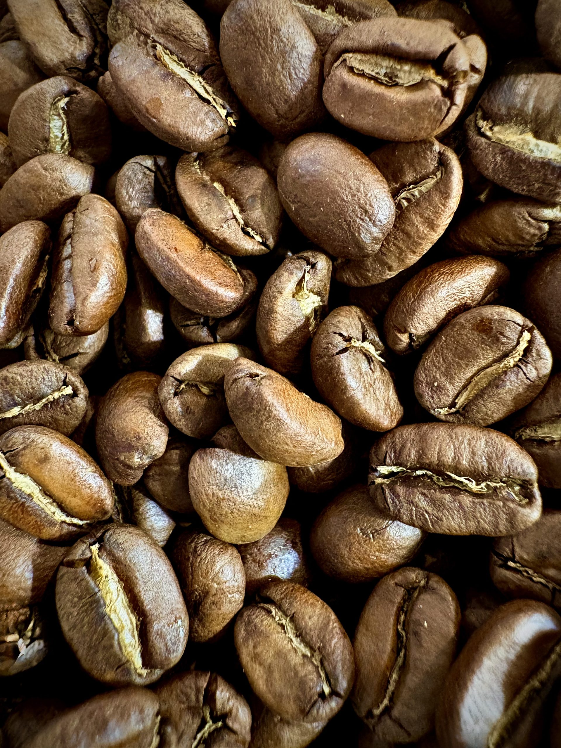 Galeria_ROLO_COFFEE_6