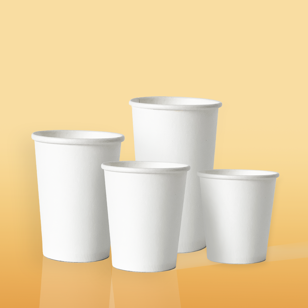 Galeria_SIGPACK_6