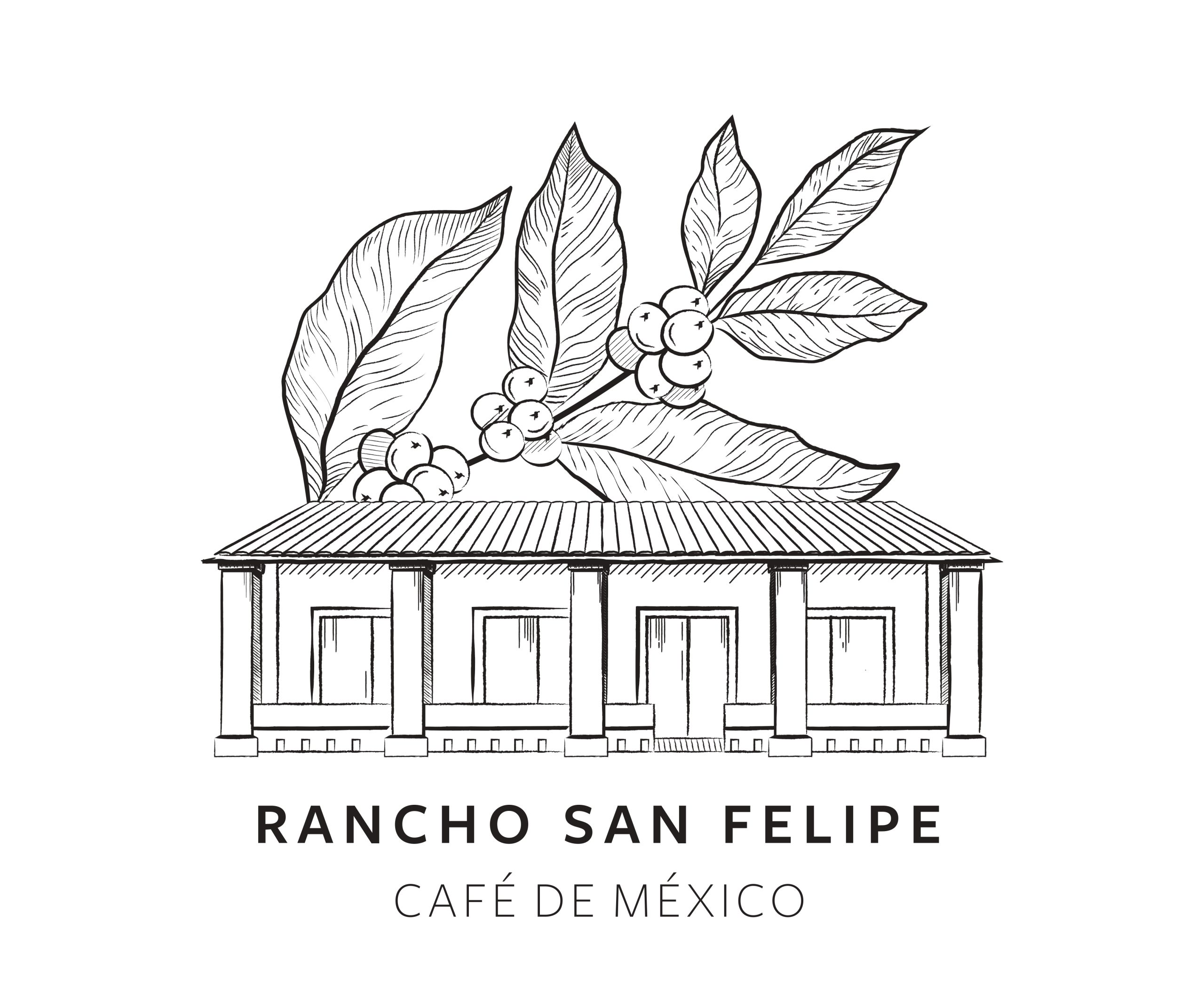 Logo_CAFETALERA_SAN_FELIPE