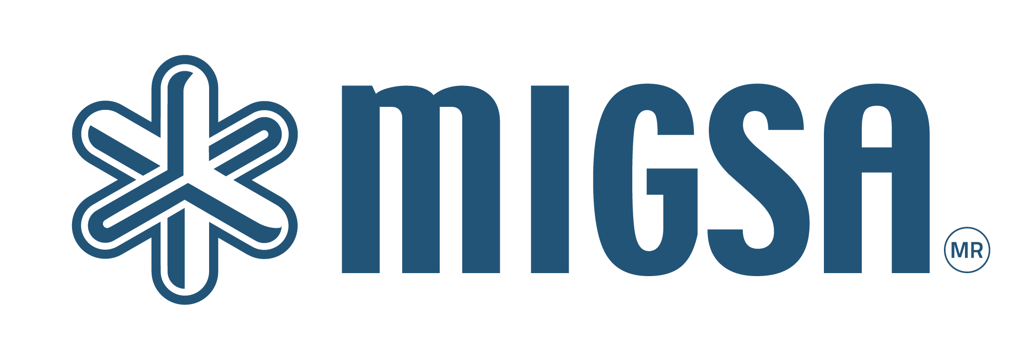 Logo_MIGSA