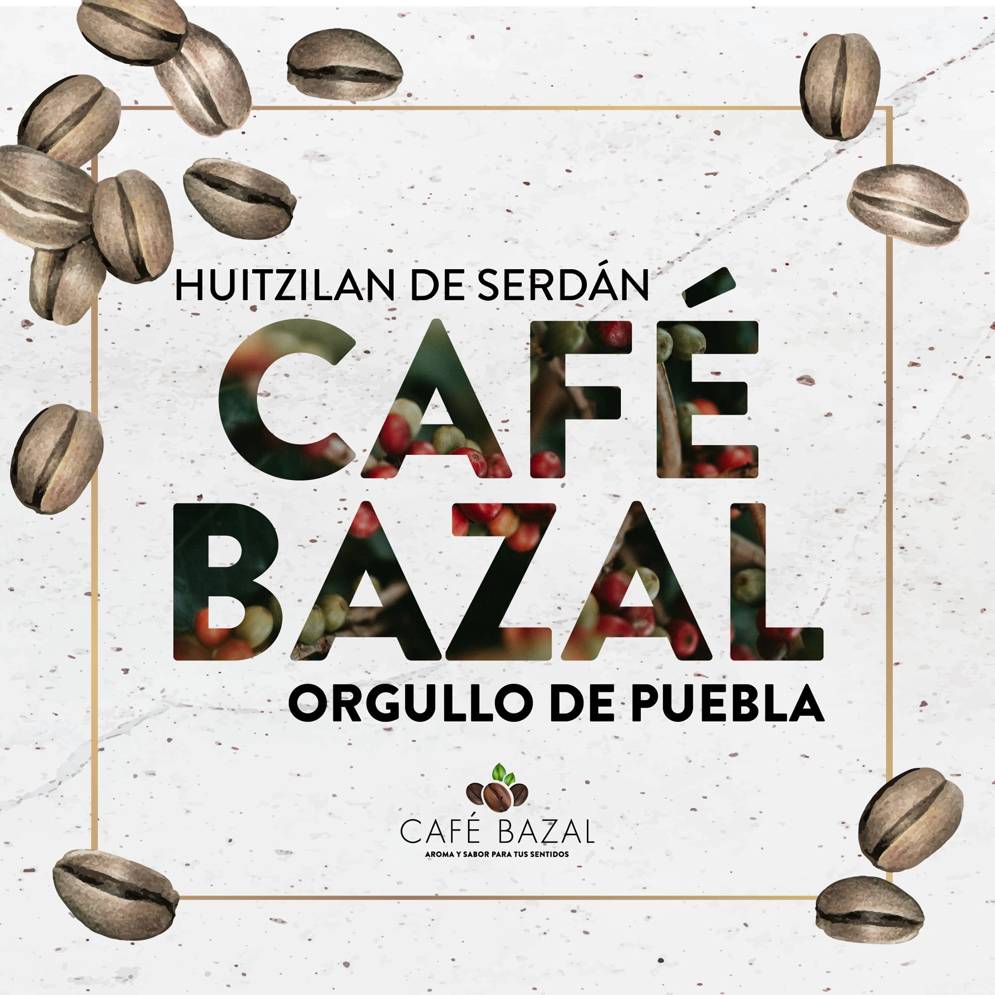 Galeria_CAF___BAZAL_6