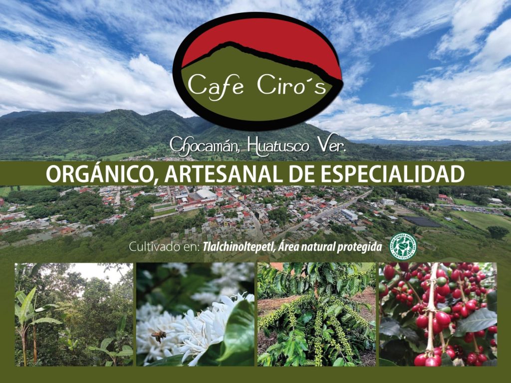 Galeria_CAF___CIRO_S_1