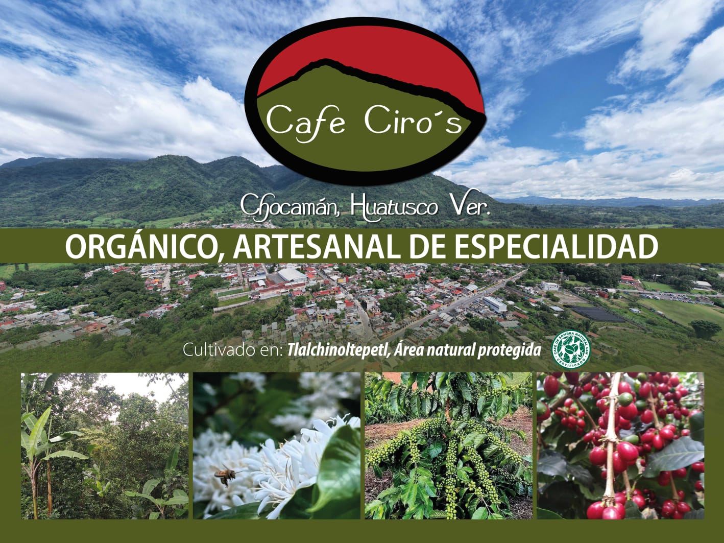 Galeria_CAF___CIRO_S_1