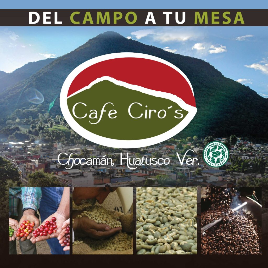 Galeria_CAF___CIRO_S_2