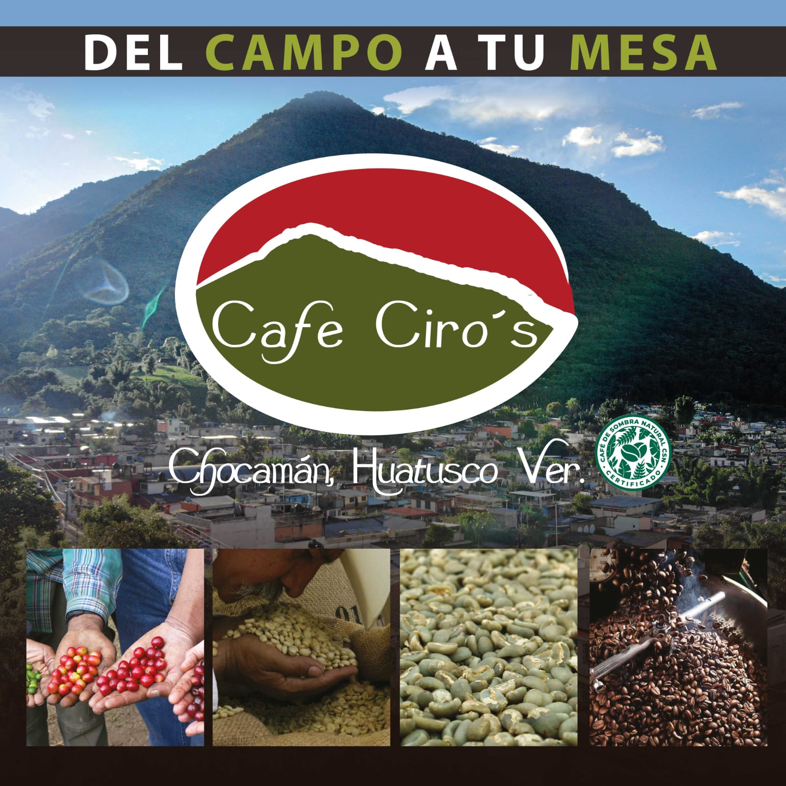 Galeria_CAF___CIRO_S_2