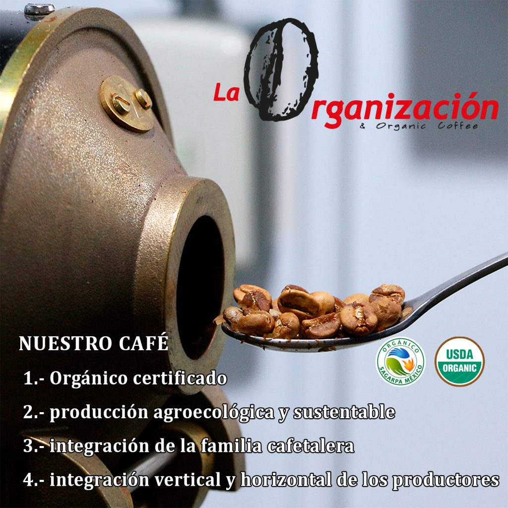Galeria_CAF___LA_ORGANIZACI__N_1