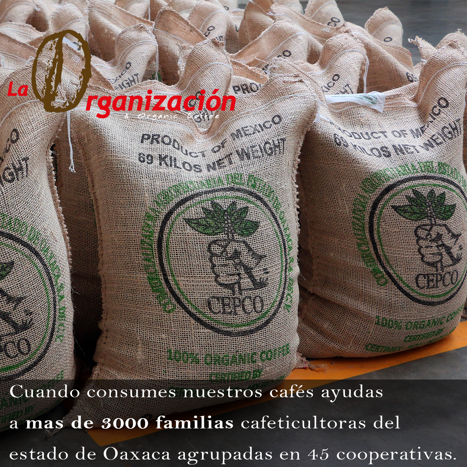 Galeria_CAF___LA_ORGANIZACI__N_4