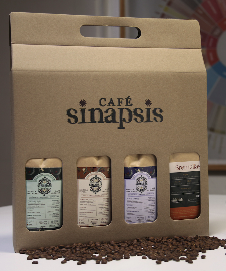 Galeria_CAF___SINAPSIS_4