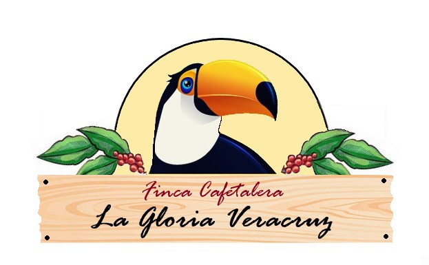 Galeria_FINCA_CAFETALERA_LA_GLORIA_VERACRUZ_1