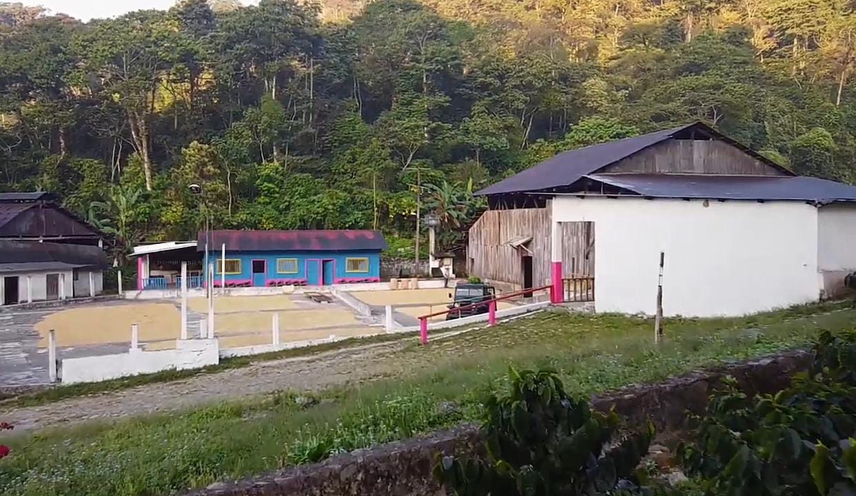 Galeria_FINCA_CAFETALERA_LA_GLORIA_VERACRUZ_2