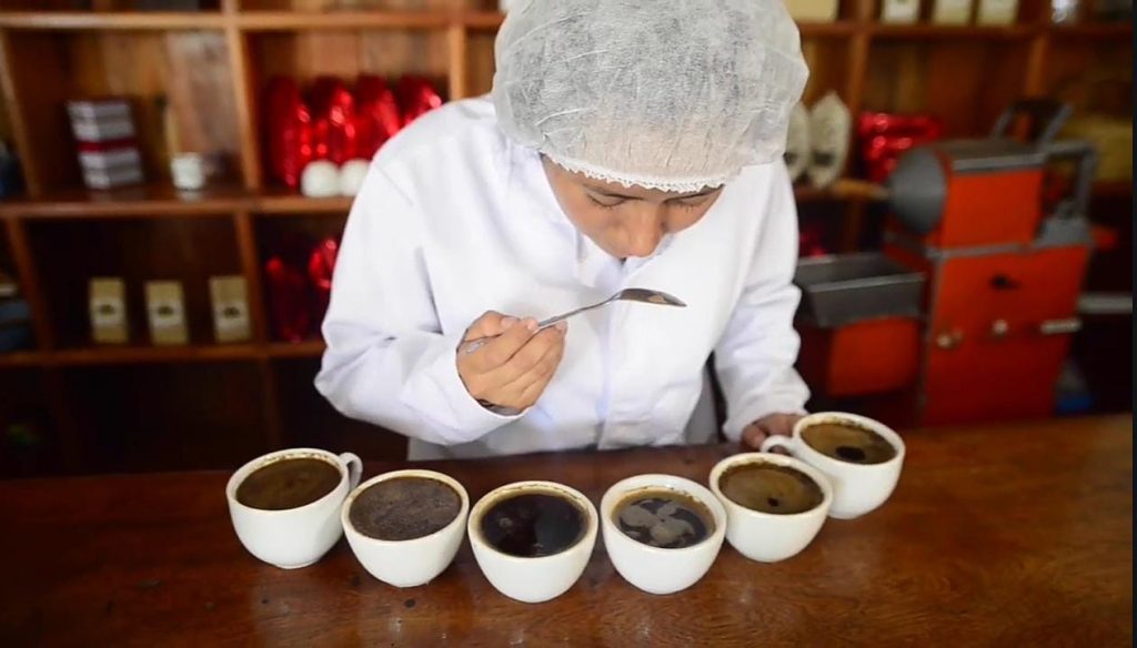 Galeria_FINCA_CAFETALERA_LA_GLORIA_VERACRUZ_5
