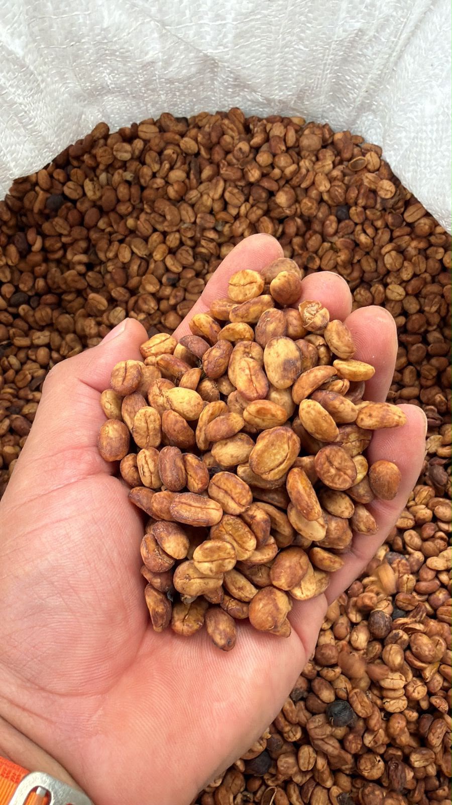 Galeria_FINCA_DON_GUILLERMO_2