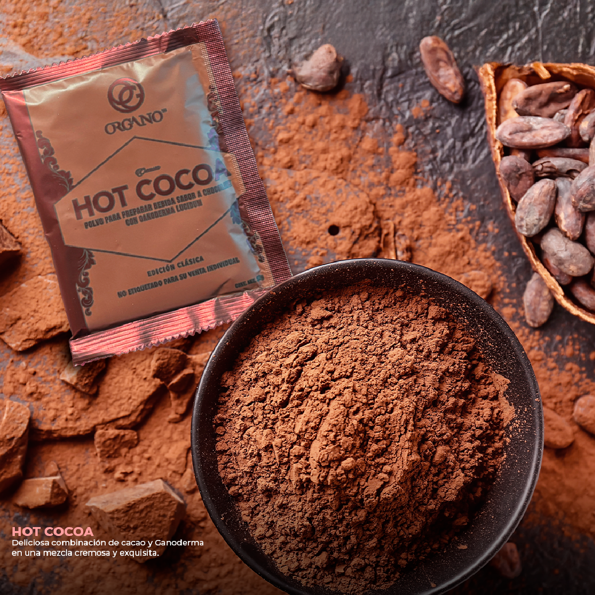 Galeria_ORGANO_GOLD_INTERNATIONAL_4