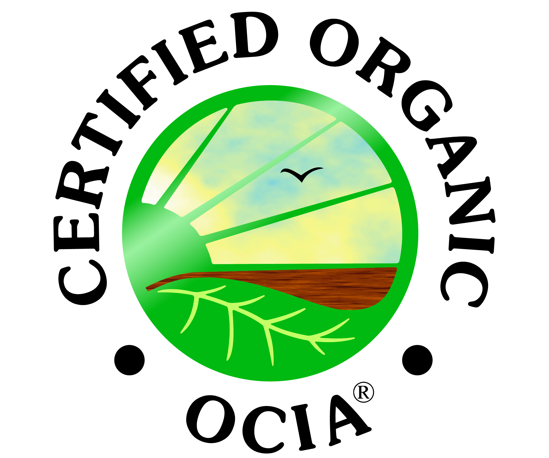 Logo_OCIA_INTERNATIONAL_INC