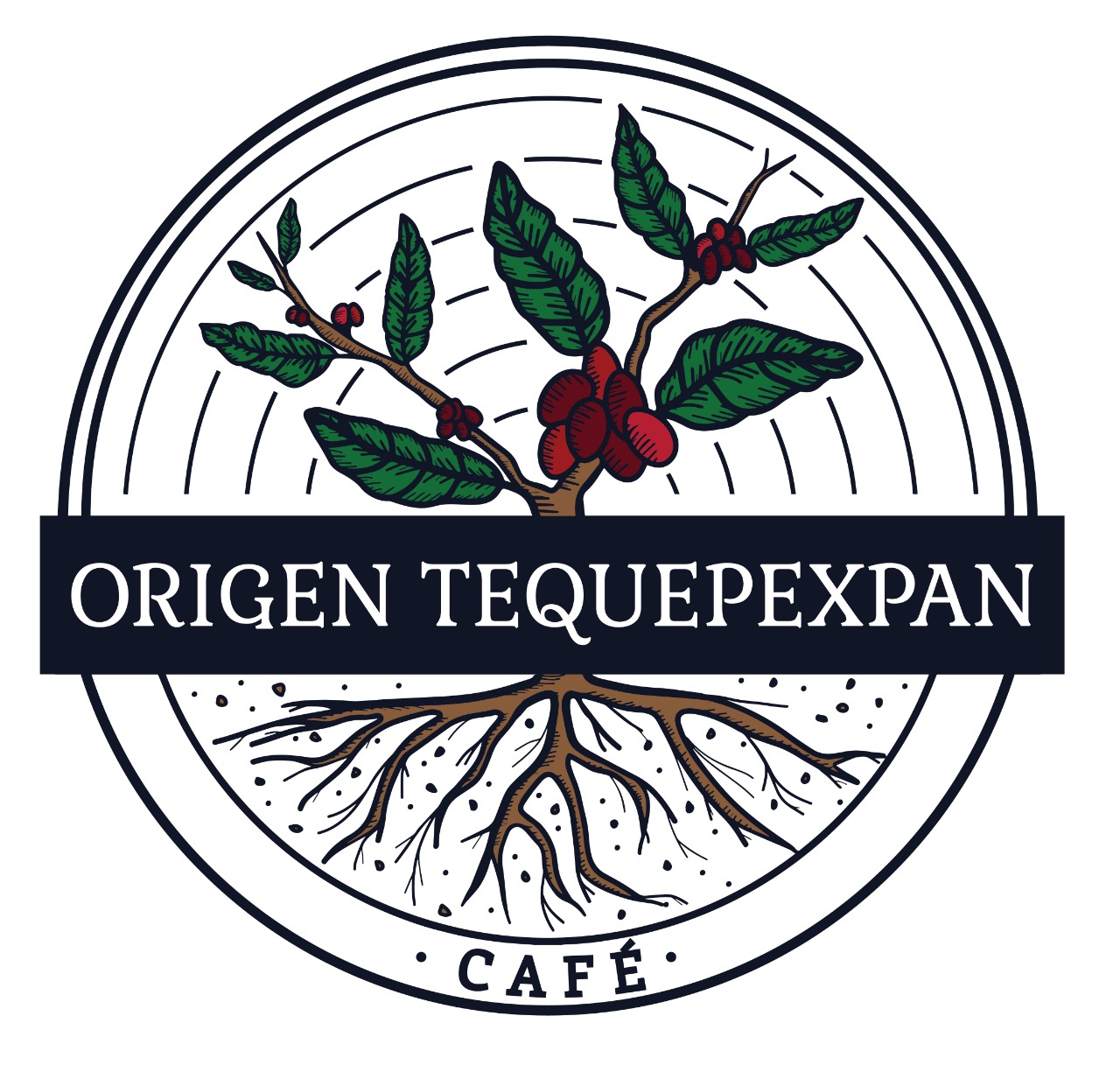 Logo_ORIGEN_TEQUEPEXPAN