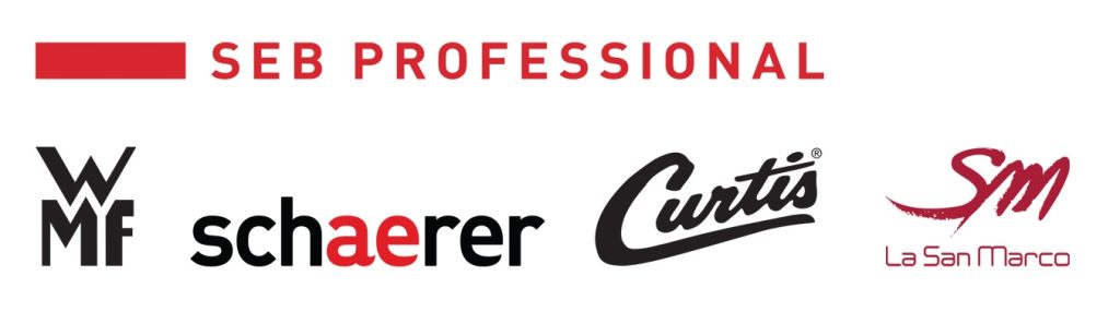 Logo_SEB_PROFESSIONAL