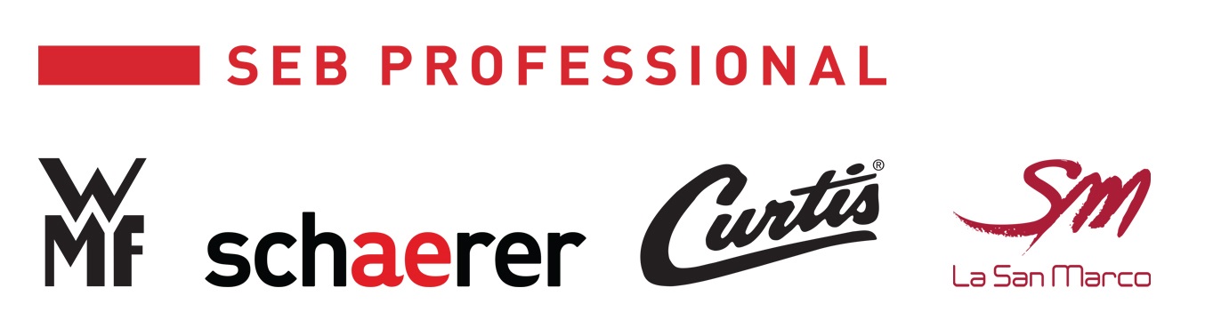 Logo_SEB_PROFESSIONAL
