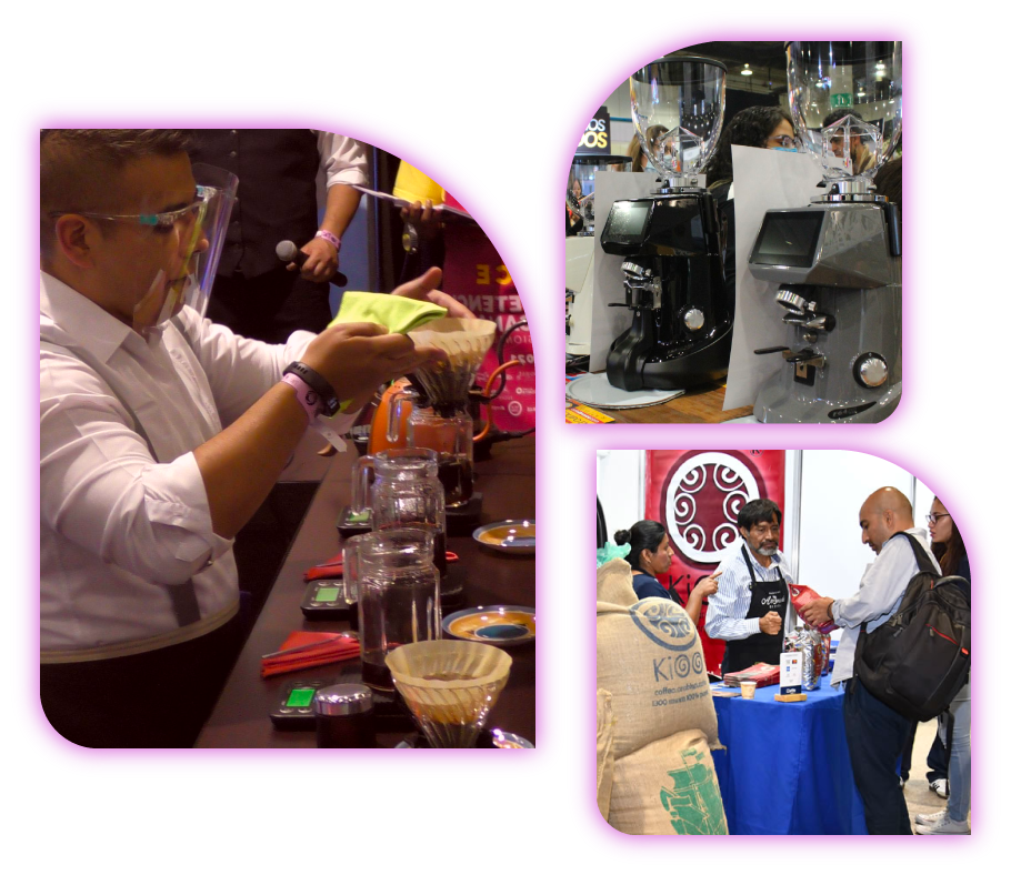 ExpoCafe-Piso