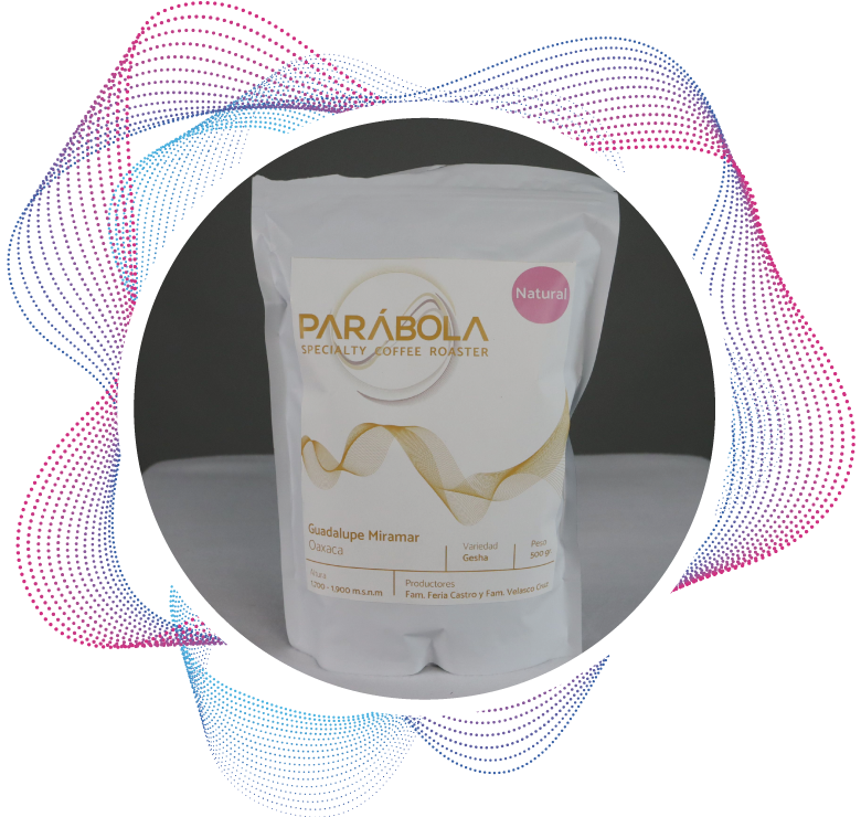 PSEC-Semifinalista-Parabola