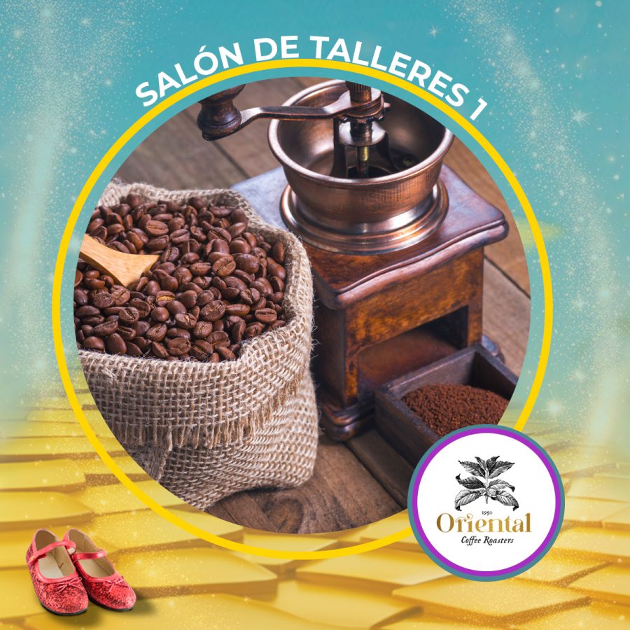 TALLER Tostado Básico