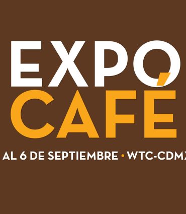 Taller Métodos de Extracción