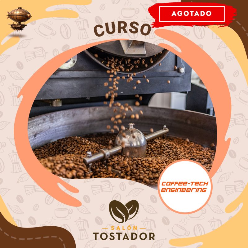 Curso Tostado Básico