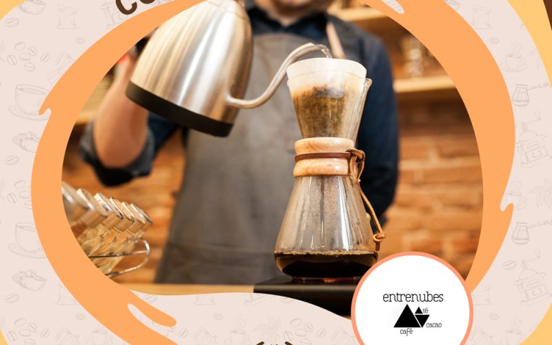 Fundamentos Teóricos de la Extracción Manual de Café (Brewing)